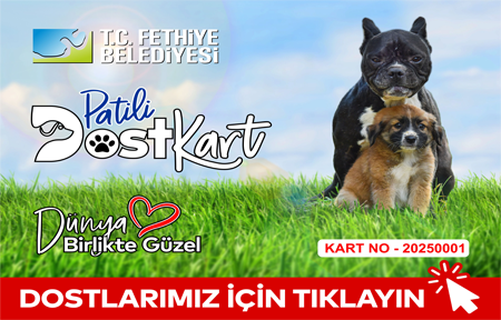 Dost Kart